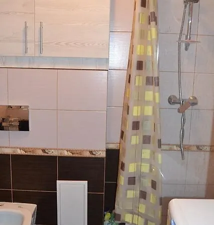 Apartment On Bogdana Gavrilishyna 3 *